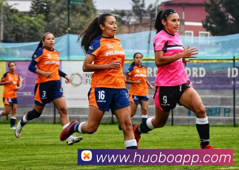 App Interface Preview