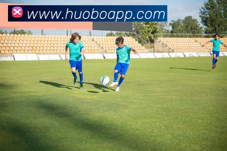 火博体育APP 封面图