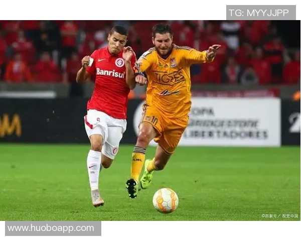 日本队2025年战绩辉煌创历史首胜巴西新晋国脚人数达25人 日本队2025年战绩辉煌创历史首胜巴西新晋国脚人数达25人