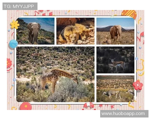 梅西亲临印度野生动物保护中心参与宗教仪式与狮子亲密接触的奇妙体验